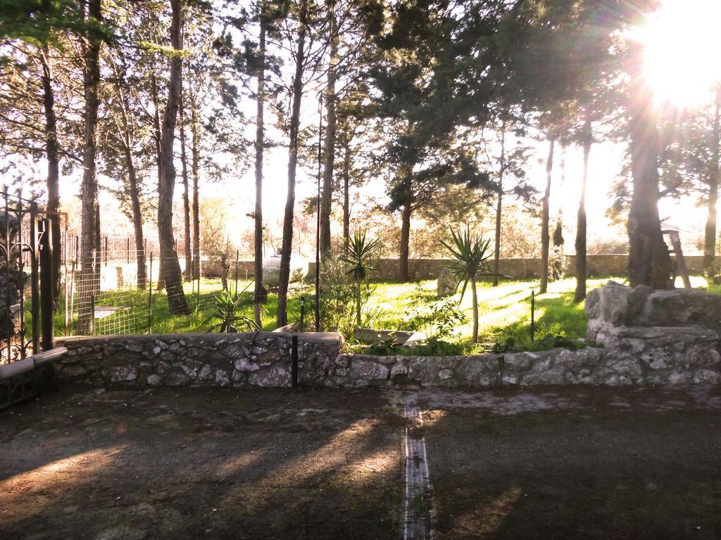 Villa Parco Alta Murgia Cassano delle Murge Eksteriør bilde